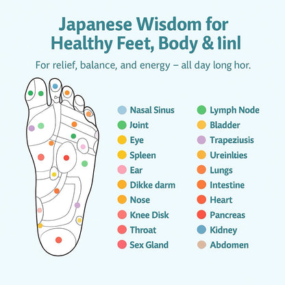 Map of a foot with acupressure points labeled for various body parts, to show the work of insoles.